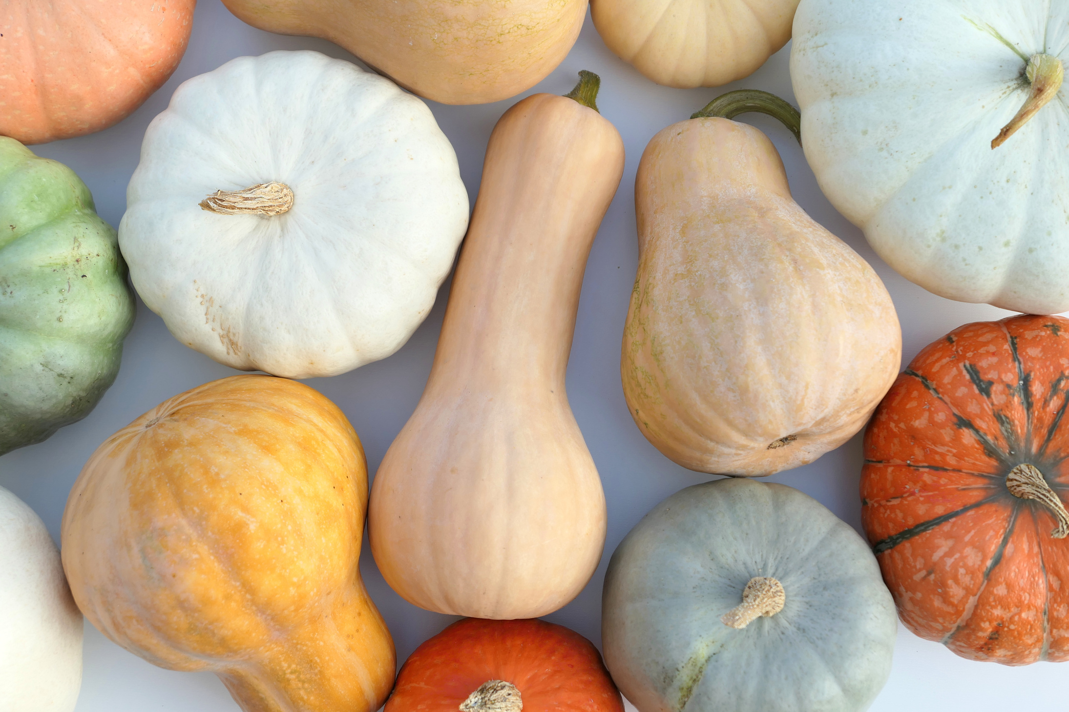 Pumpkins and winter squashes